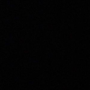 Meet your Posher, Gino